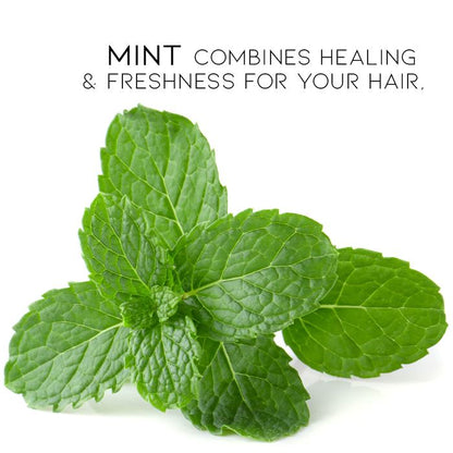 Herbal Essential Oil Infused Shampoo Bar (Mint) Hair Styling Tools Every Day And Night 