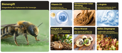 Lotmay® Biene VenomX DualIgnite Leistungssystem PRO