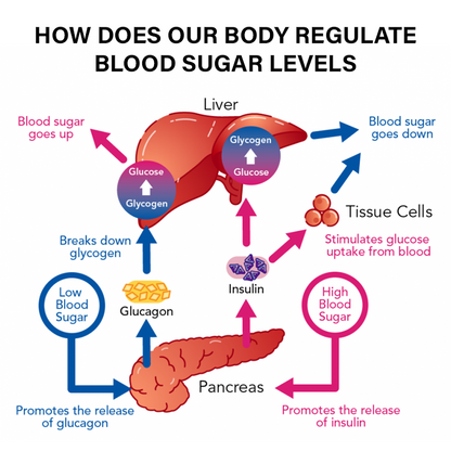 Oveallgo™ SugarFirm Botanical Blood Sugar Tea