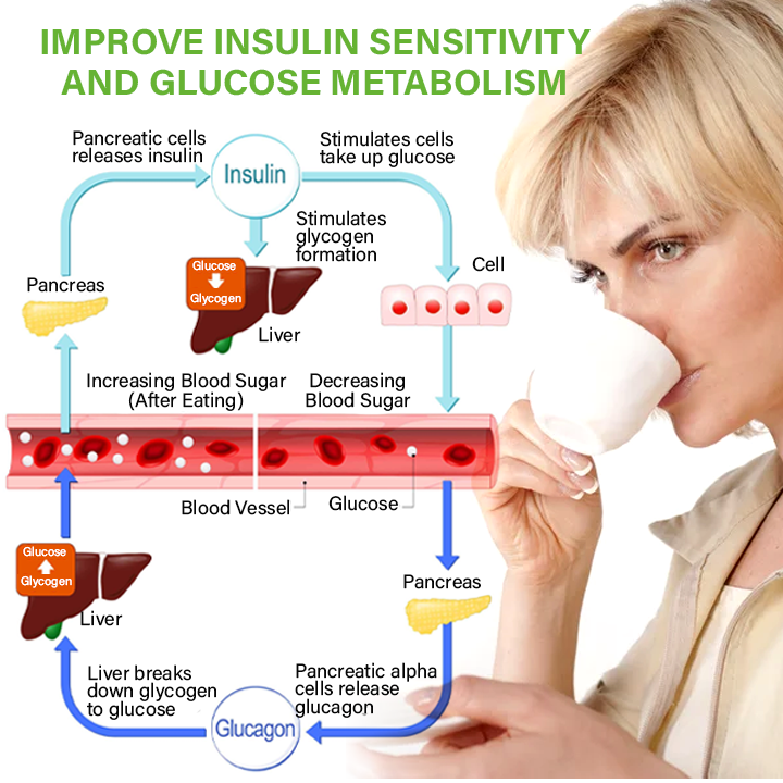 Oveallgo™ SugarFirm Botanical Blood Sugar Tea