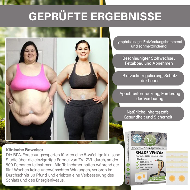 Oveallgo™ Schlangengift-Lymph-Detox-Pflaster (Für alle lymphatischen Probleme und Fettleibigkeit)